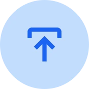 Import Options Import Options