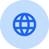 Multi-Language Insights